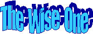 The  Wise  One